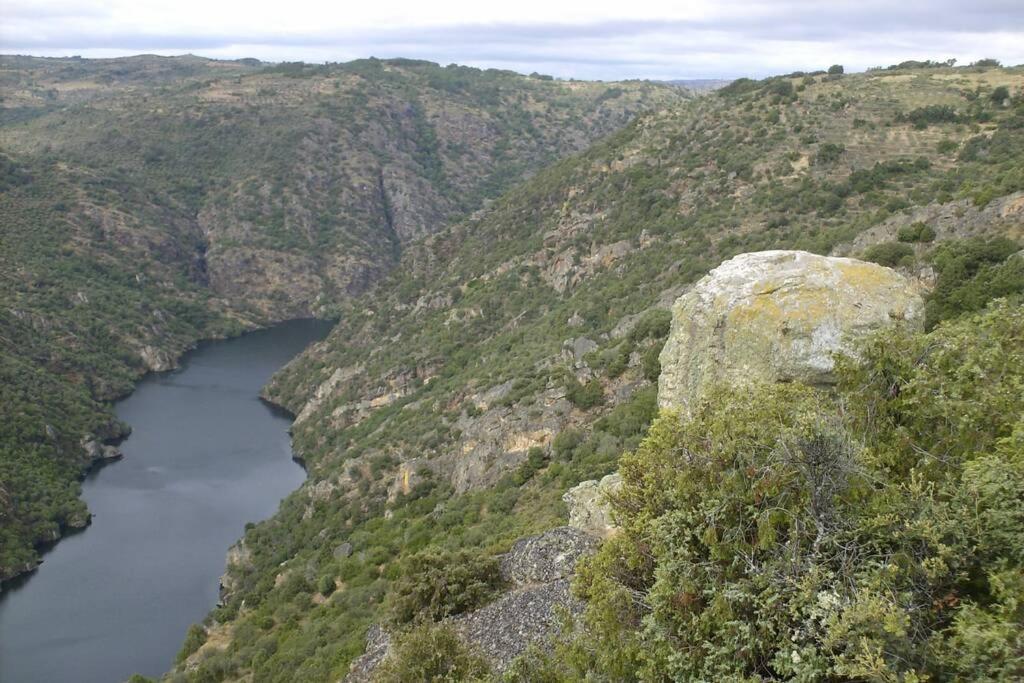 Refugio Do Douro Guest House Bemposta  Bagian luar foto