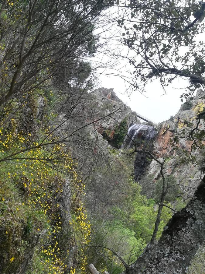 Refugio Do Douro Guest House Bemposta  Bagian luar foto